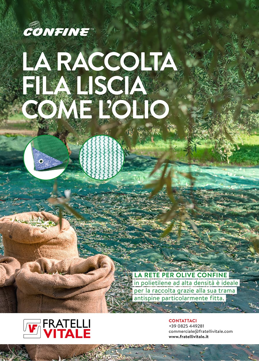 Rete antispine per olive