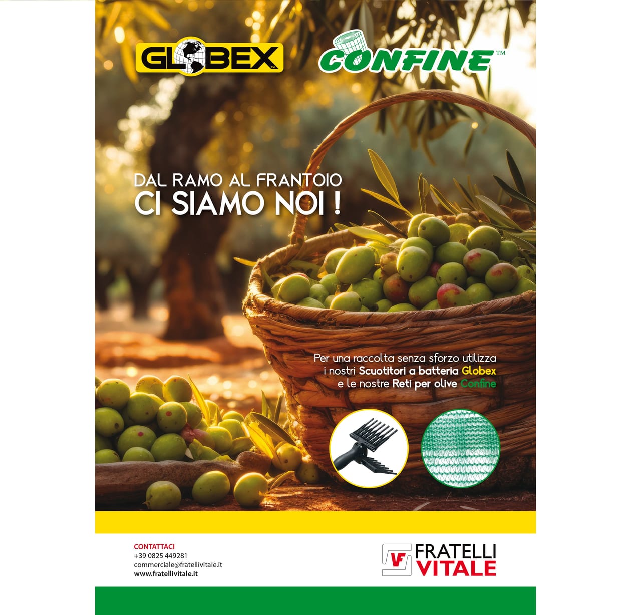 Scuotitore e rete per la raccolta delle olive