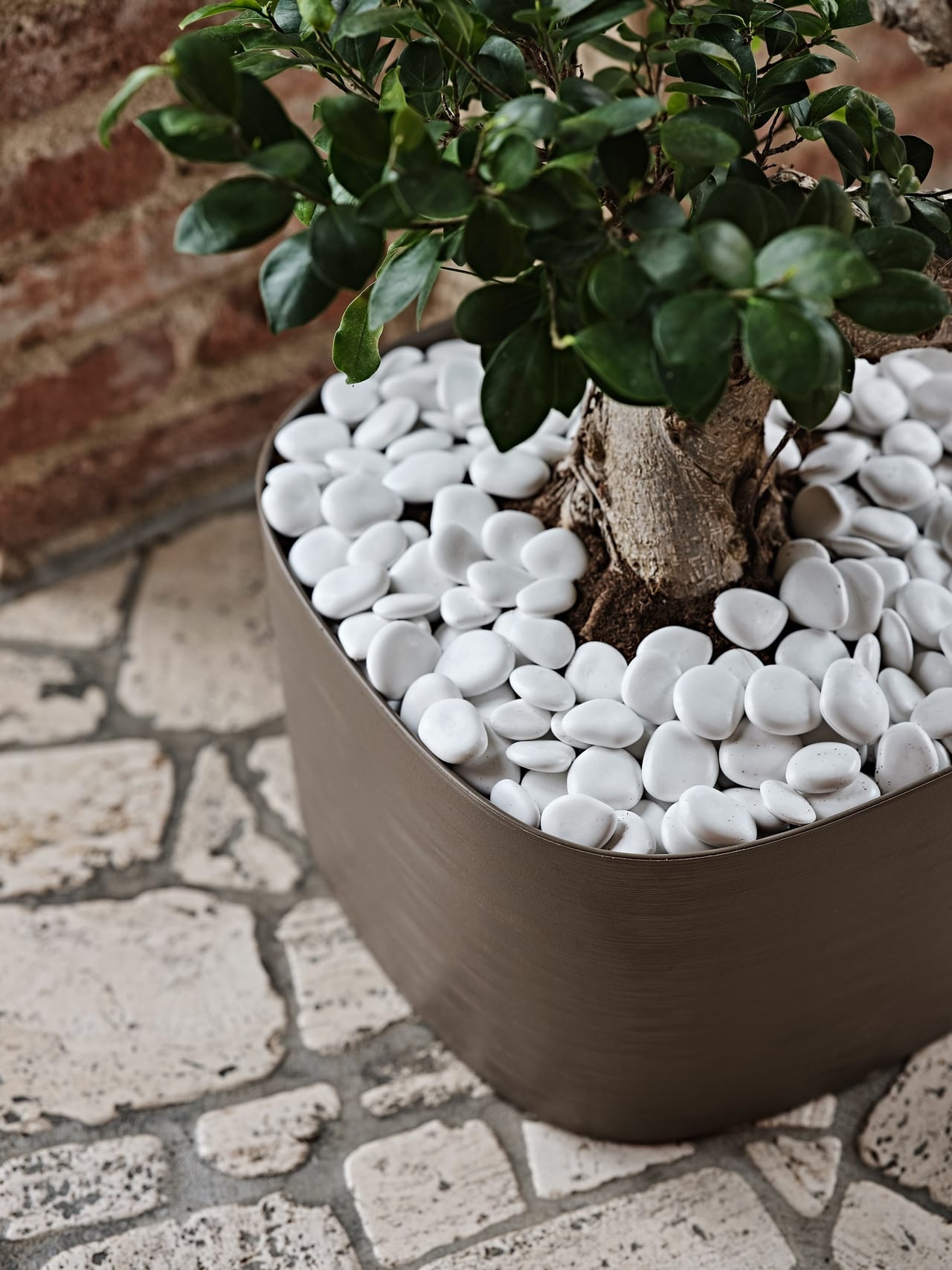 Sassi decorativi Pebbles