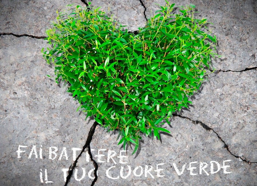 Con Verde Libera Tutti il gardening diventa protagonista