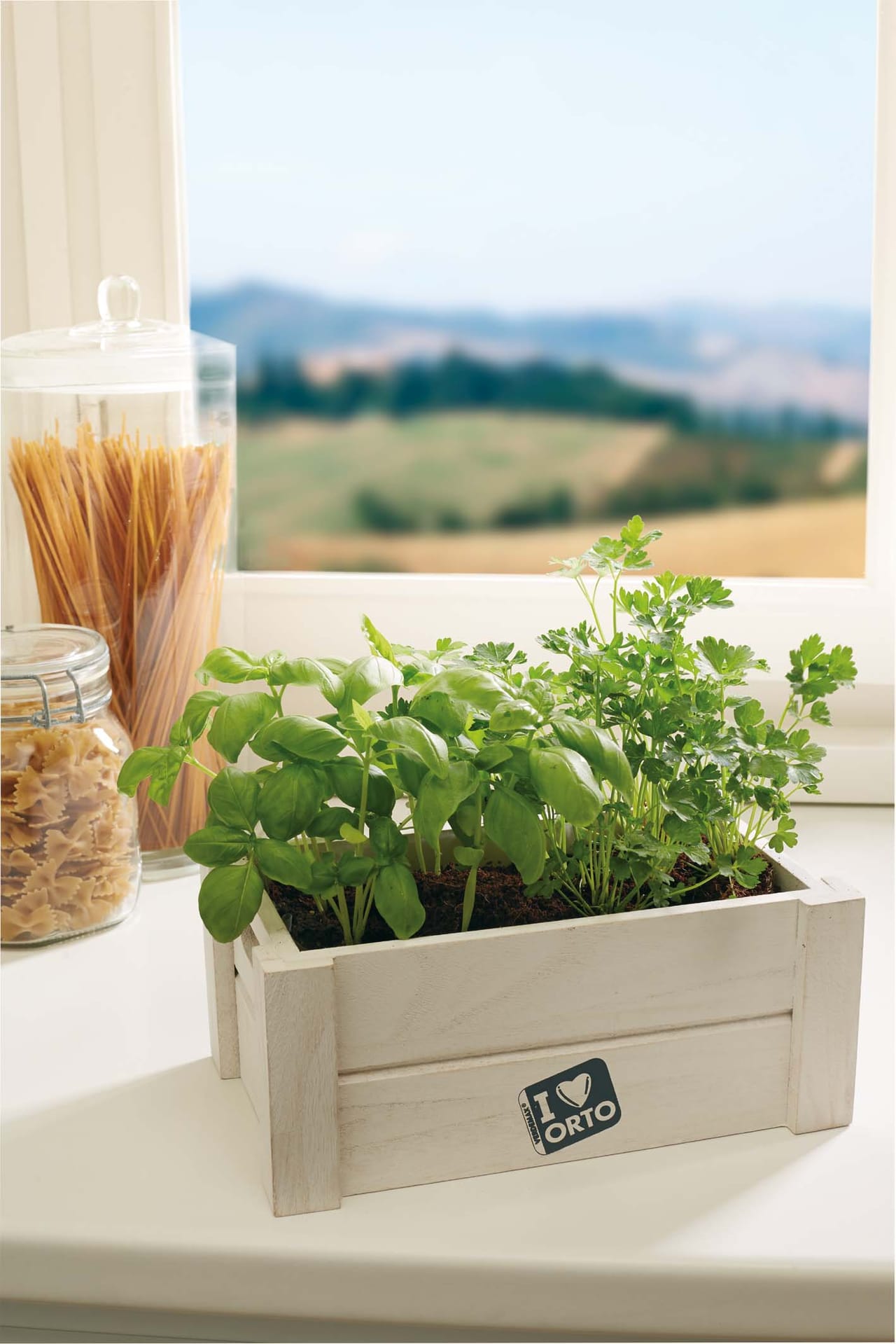 Easyorto: la passione per l’orto entra in cucina