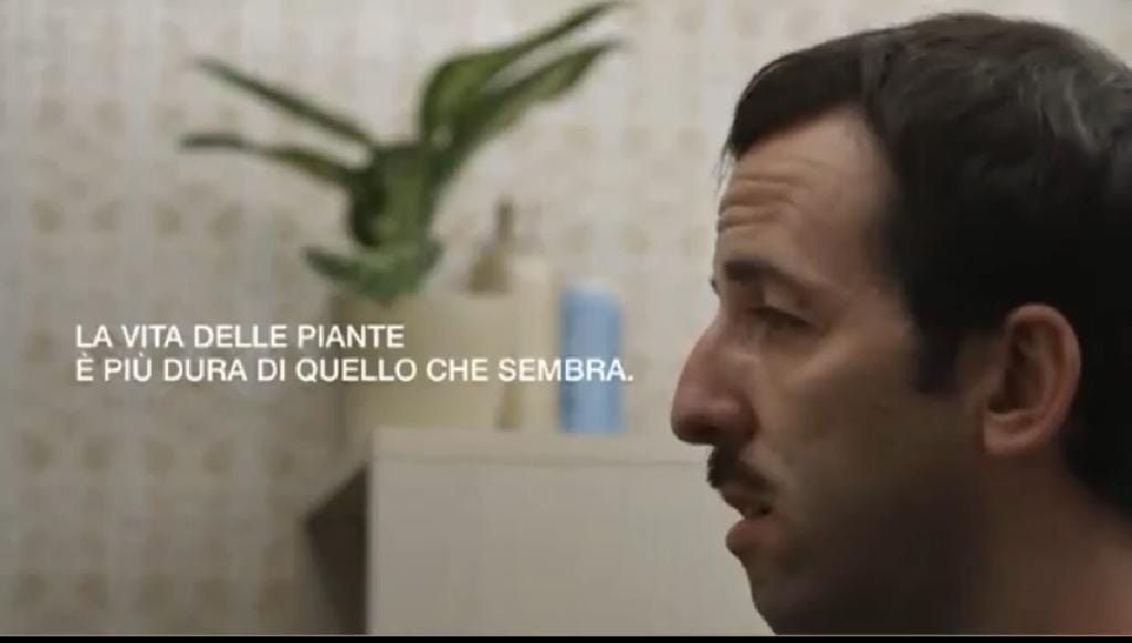 Vigorplant colpisce ancora !