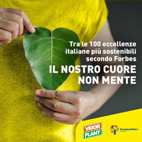 Vigorplant tra le 100 eccellenze italiane nel campo della sostenibilità