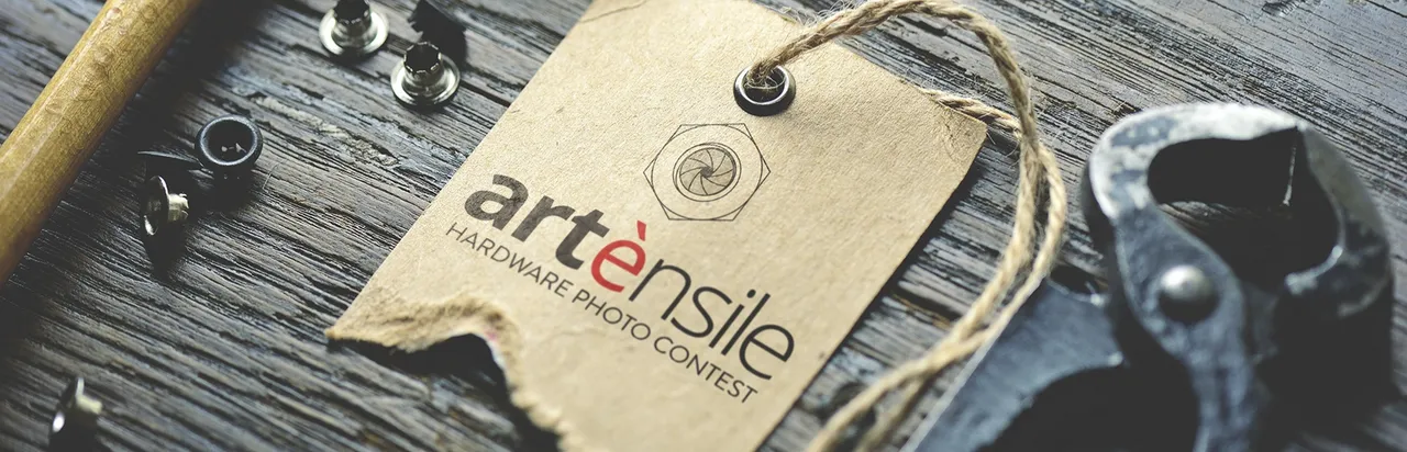 Artènsile: il 15 ottobre i vincitori!