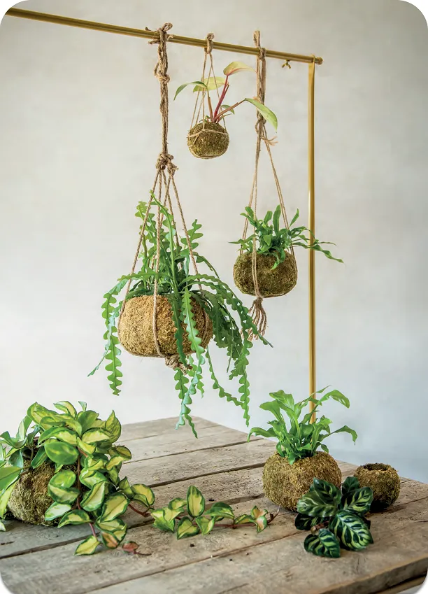 Kit fai da te per kokedama