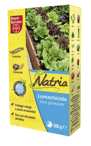 Bayer: Combattere le lumache in maniera naturale