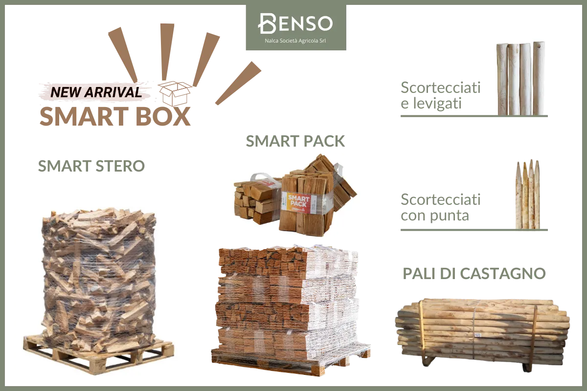 Benso: 40 anni di qualità e innovazione