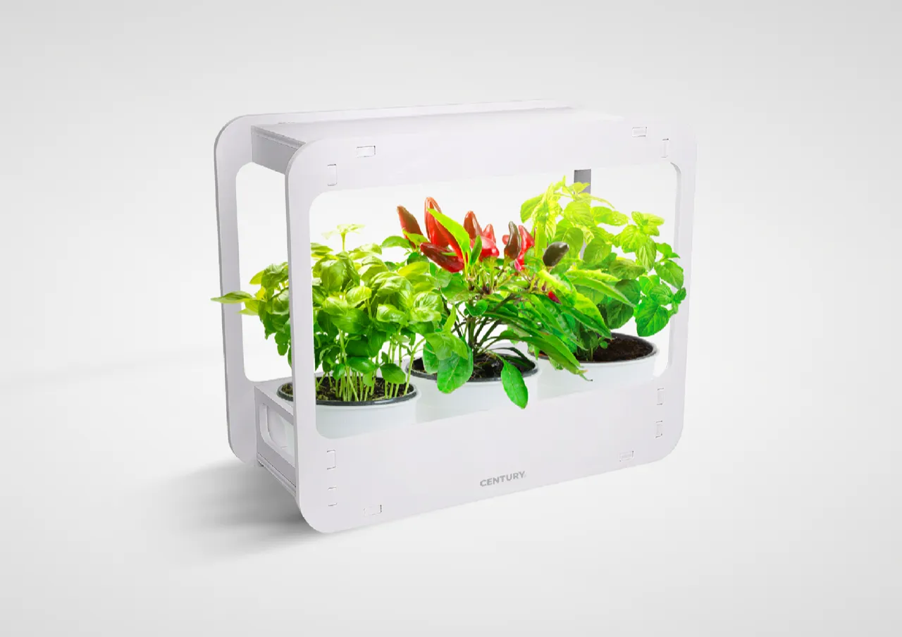Coltivare piante aromatiche senza luce
