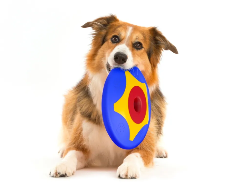 Trotto Disk, il frisbee per cani