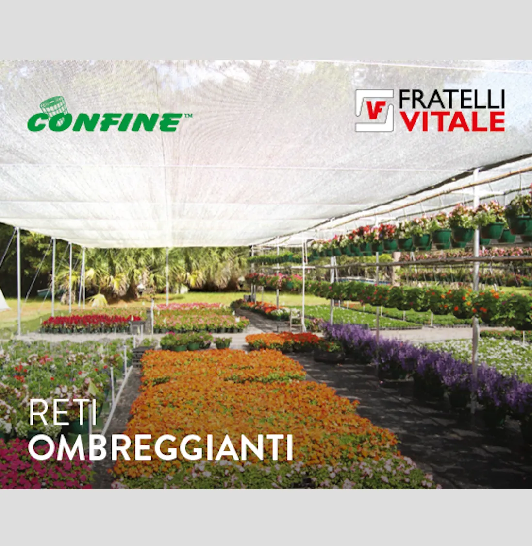 Reti ombreggianti Confine