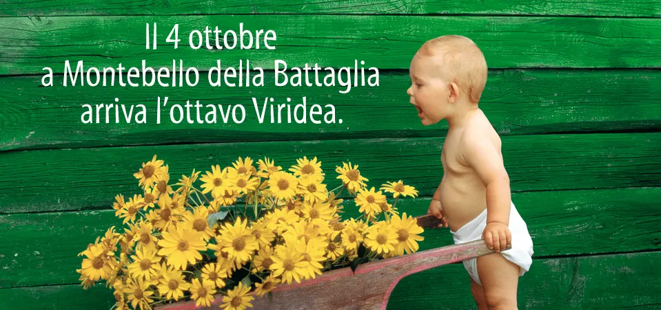 Viridea apre a Montebello della Battaglia
