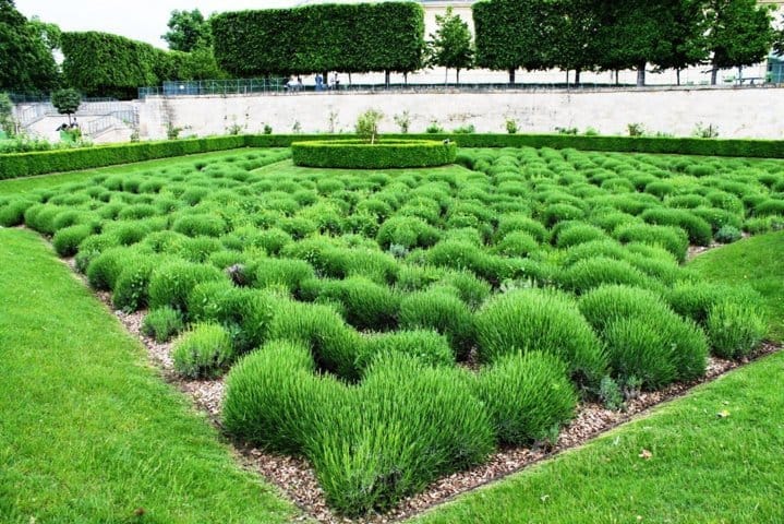 Nasce Myplant & Garden, la nuova fiera del florovivaismo e del garden 2