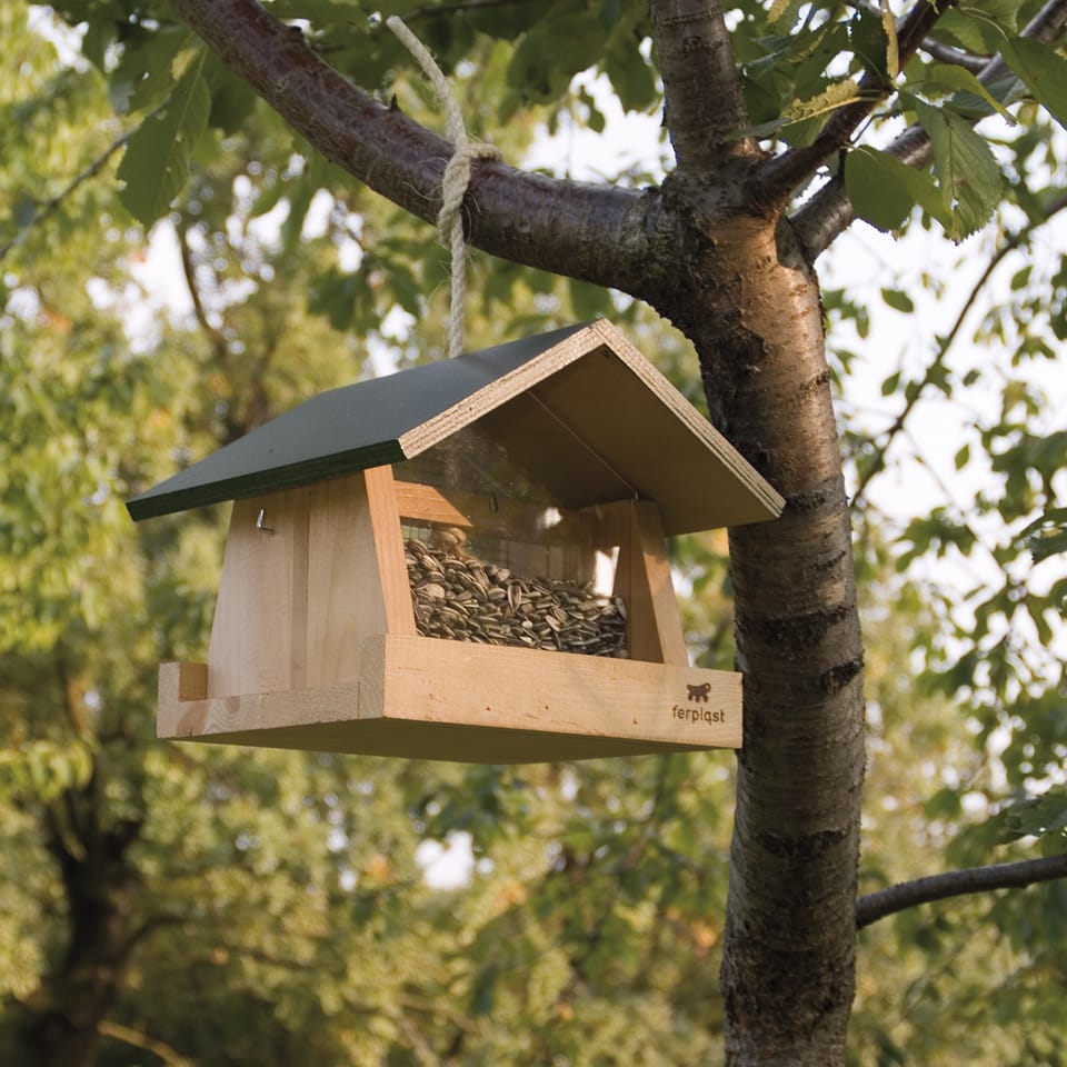 La casetta sull’albero 9
