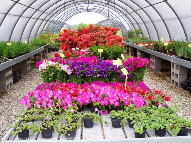 Nasce Myplant & Garden, la nuova fiera del florovivaismo e del garden 7