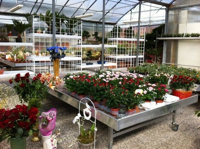 Nasce Myplant & Garden, la nuova fiera del florovivaismo e del garden 9