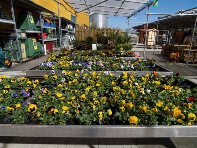 TuttoGiardino: il franchising del garden 13