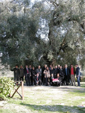 Betafence promette un 2008 da record 2