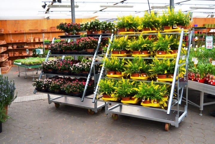 Nasce Myplant & Garden, la nuova fiera del florovivaismo e del garden 6