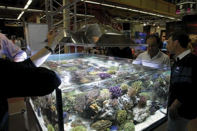 Zoomark: la casa del pet italiano 4