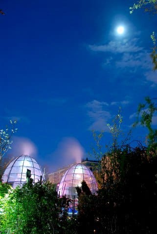 Nidi d’Uomo: la cultura entra in giardino 3