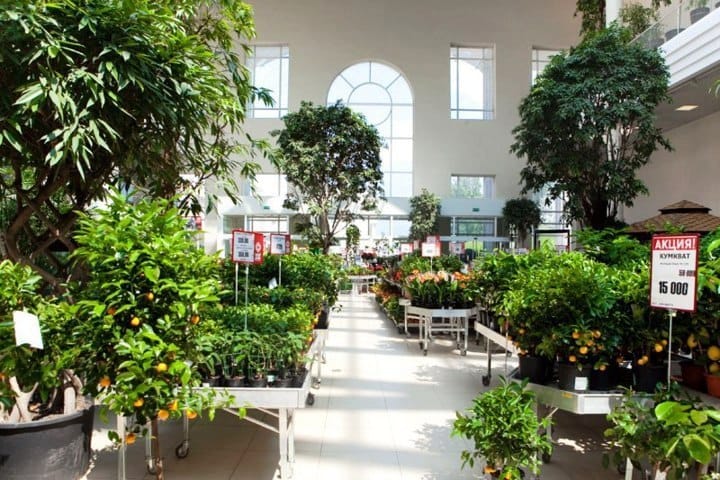 Nasce Myplant & Garden, la nuova fiera del florovivaismo e del garden 4