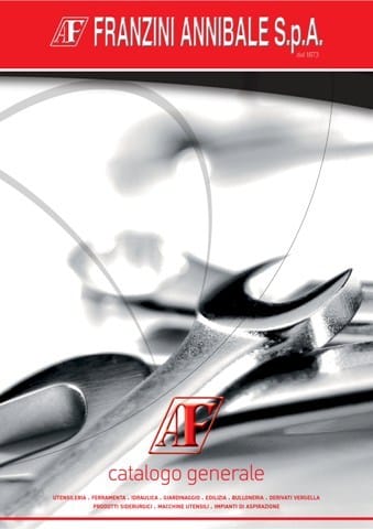 Franzini: un invito al rinnovamento 13