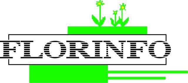 Florinfo Academy presenta il corso per la progettazione computerizzata dei giardini 4