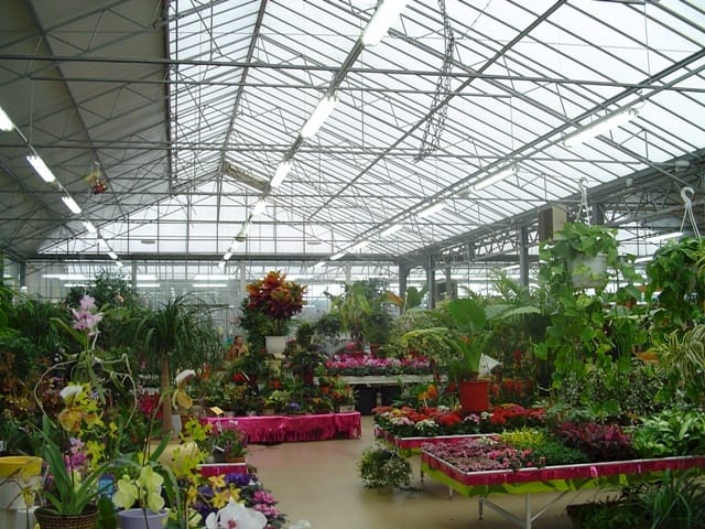 Il centro giardinaggio secondo Richel 6