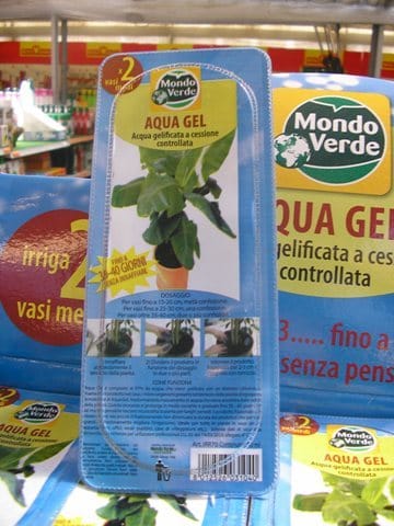 Chi innaffia in estate? 6