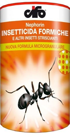 La soluzione al problema di formiche e di altri insetti striscianti 2