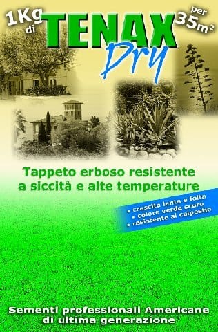 Alta qualità per il cliente 4
