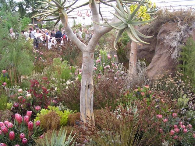 L’ecosostenibilità ambientale al Chelsea Flower Show 2