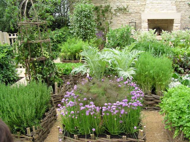 L’ecosostenibilità ambientale al Chelsea Flower Show 3