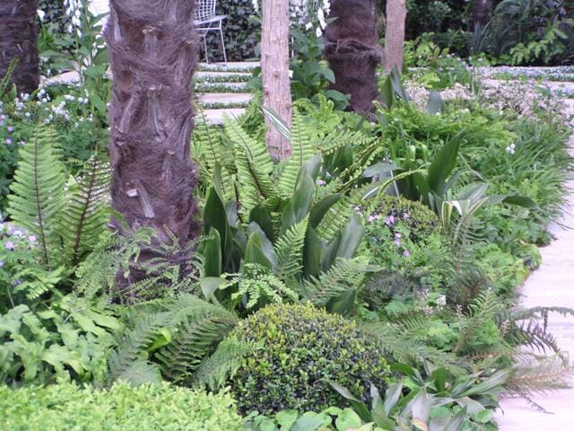 L’ecosostenibilità ambientale al Chelsea Flower Show 4