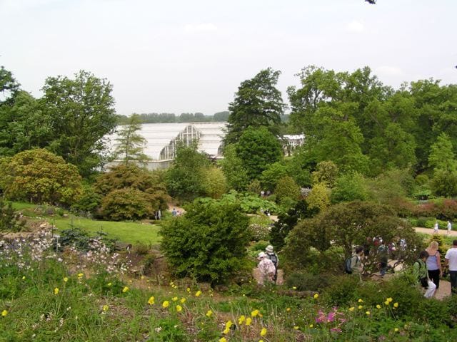 L’ecosostenibilità ambientale al Chelsea Flower Show 5