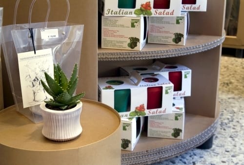 Viale Campagna: l’agricoltura urbana sbarca a Milano 7