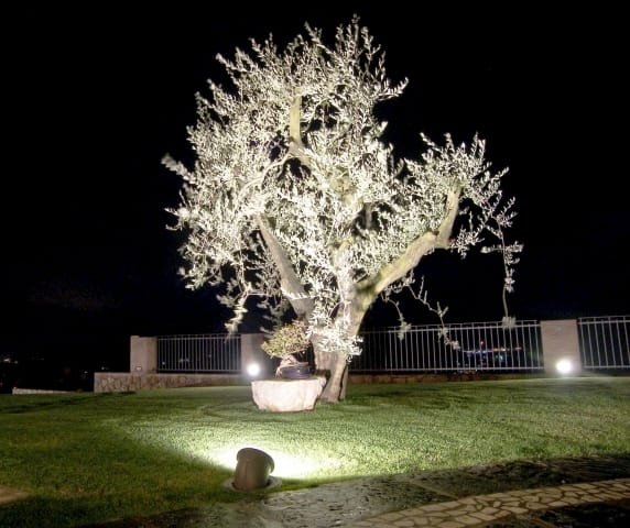 Ghidini porta la luce nel garden 2