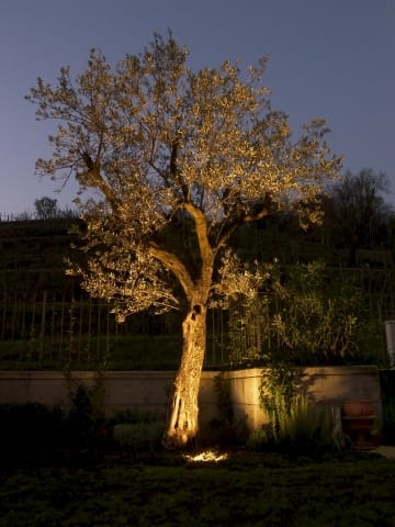 Ghidini porta la luce nel garden 5