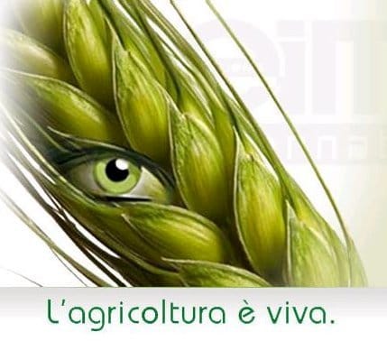 Record di visitatori a Eima 2