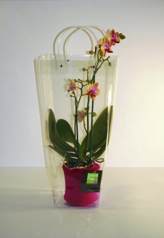 Fashion Plant entra in Autogrill 2