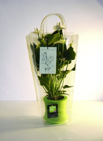 Fashion Plant entra in Autogrill 3
