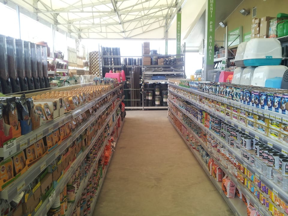 Apre il primo negozio a insegna BriWork&amp;Cars 6