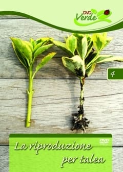 DVD Verde: nasce il “video green” pensato per i garden 2