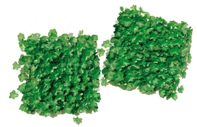 Ipierre Sirotex cresce e convince 3