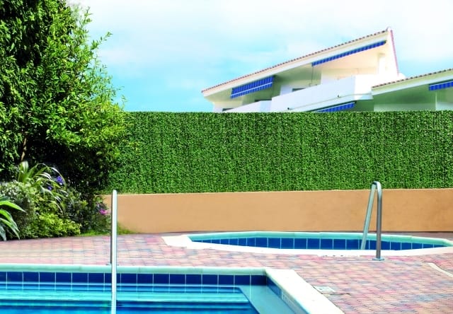 Ipierre Sirotex cresce e convince 5