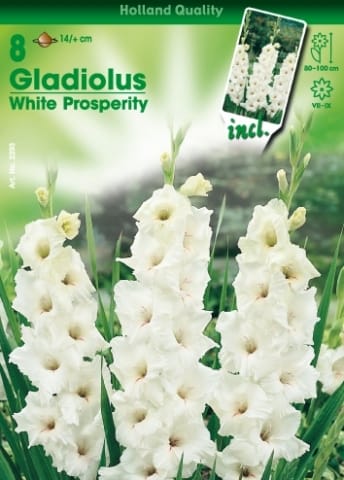 Con Hortus è già primavera! 2
