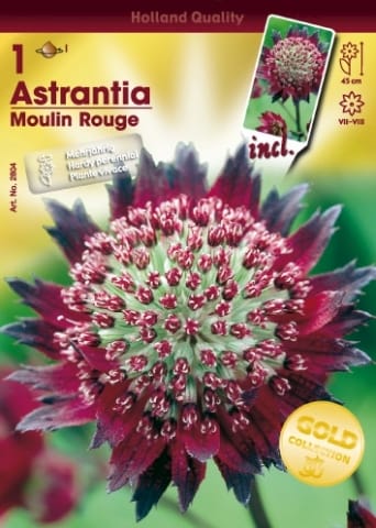 Con Hortus è già primavera! 3