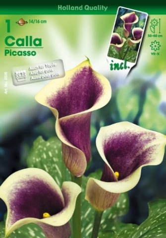 Con Hortus è già primavera! 4