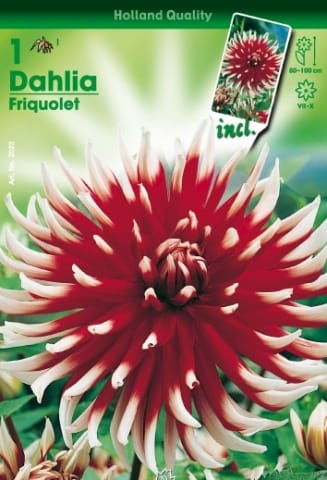 Con Hortus è già primavera! 5