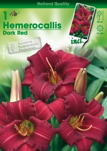 Con Hortus è già primavera! 6